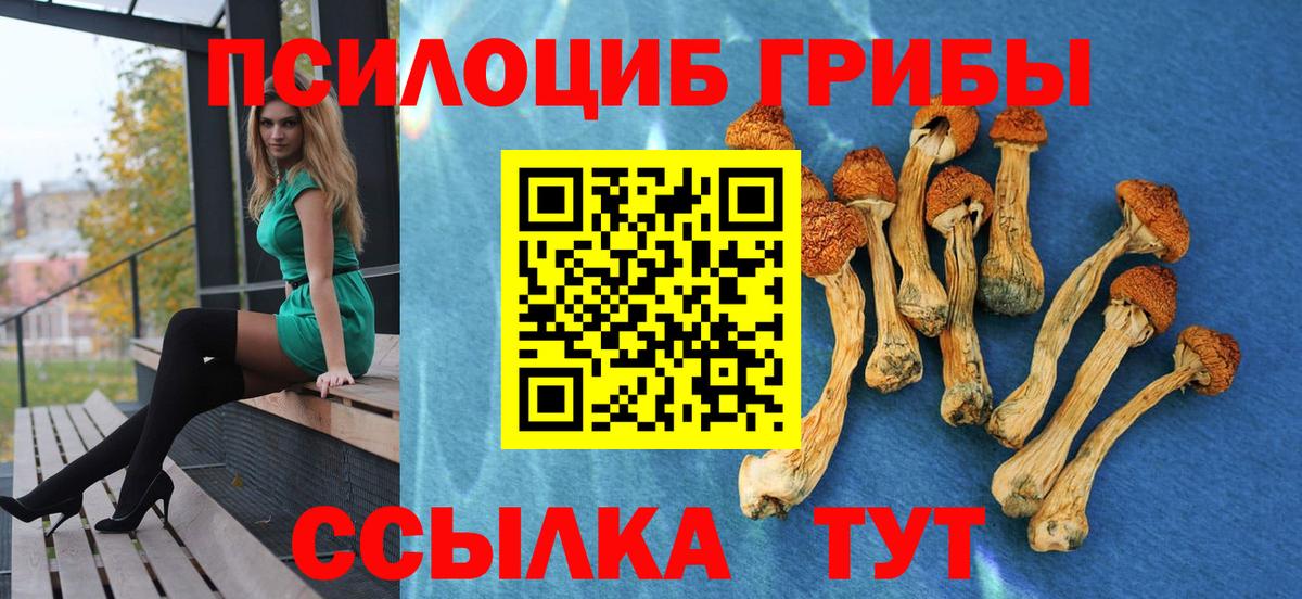 Псилоцибиновые грибы Psilocybe  Вход с VPN  Ишимбай  Галлюциногенные грибы прущие грибы 